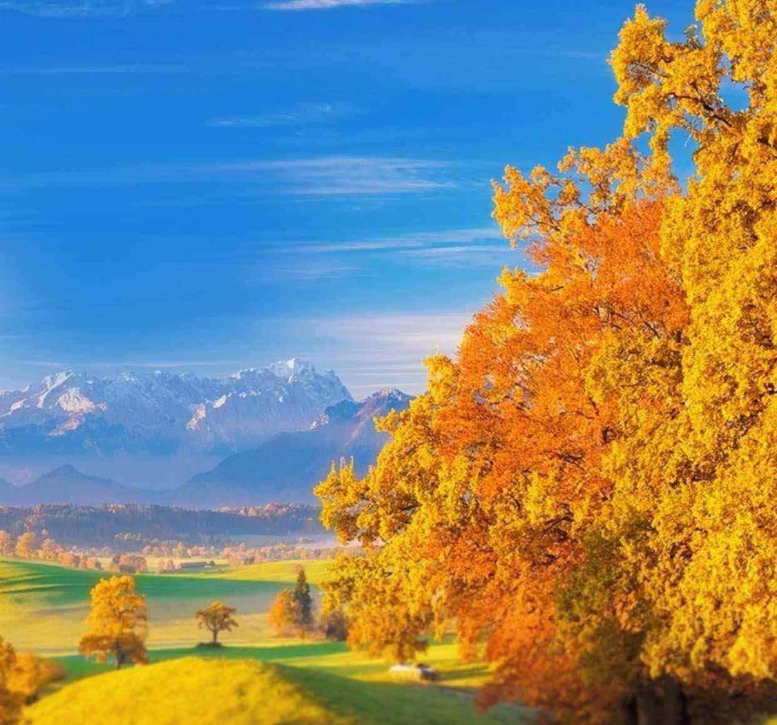 一夜风紧,月至十一,深秋迟暮,新冬可期。十一月你好!