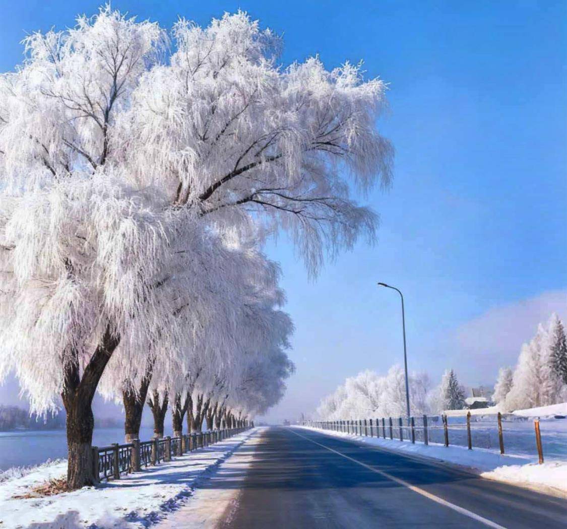 立冬，是岁暮的开端，风花雪月在此圆满，愿你今冬不寒，岁月安暖。