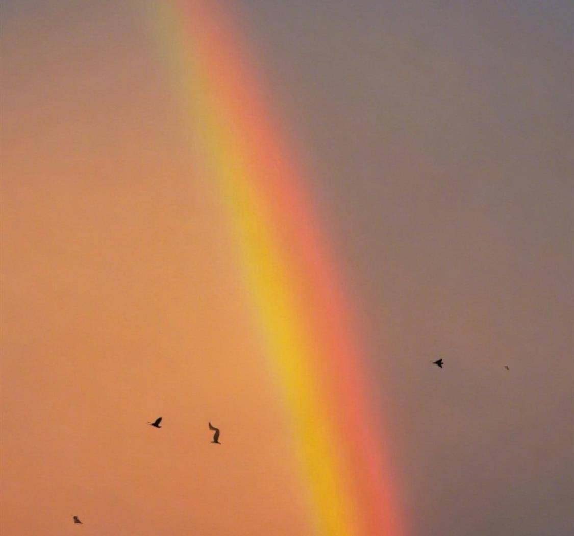 真正的反击，是把日子过成他们想象不到的剧本。