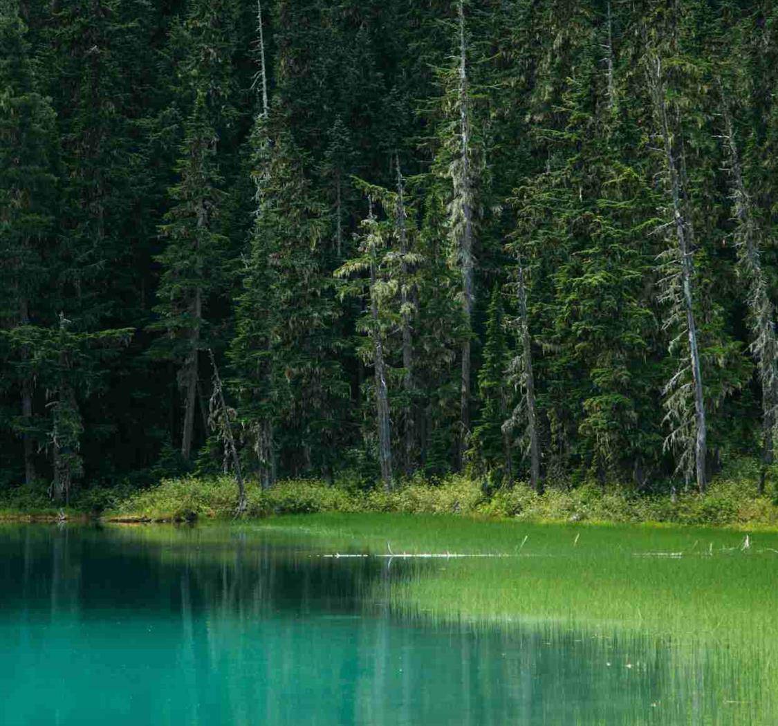 不要以你现在的能力，束缚对未来的想象。