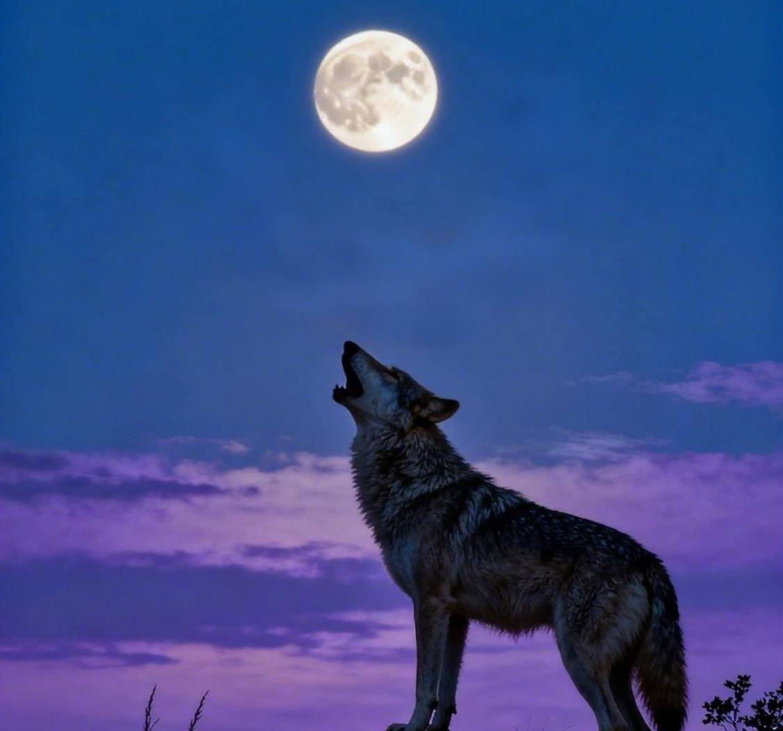 真正推动世界前进的，往往是怀揣疑问的探索者。