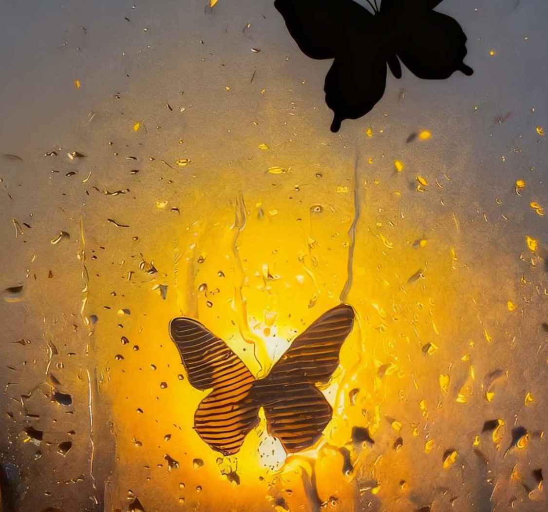 真正的成长，在于一次次打破自我设限的边界。