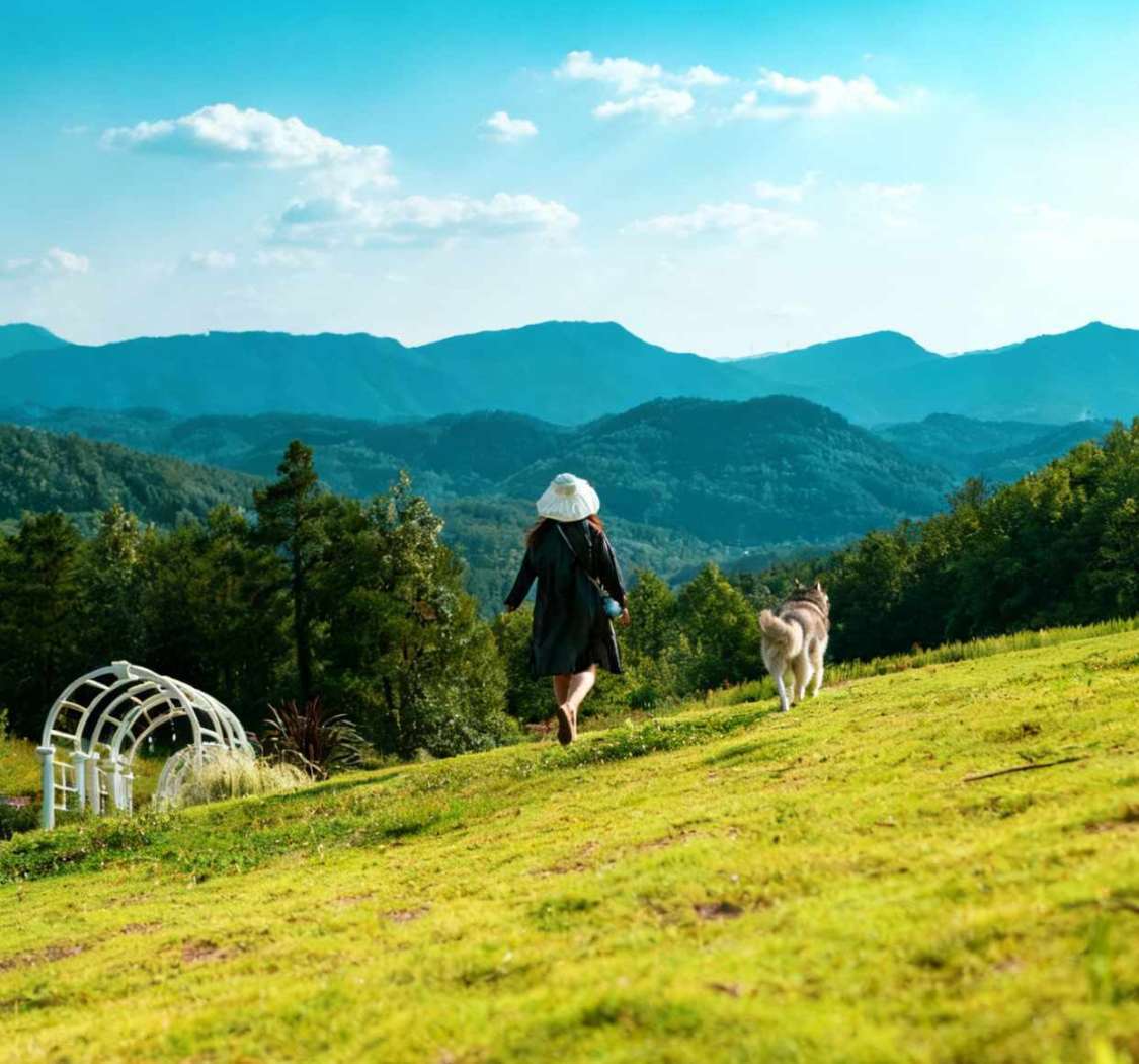 我生以悦我，而非他人所困。