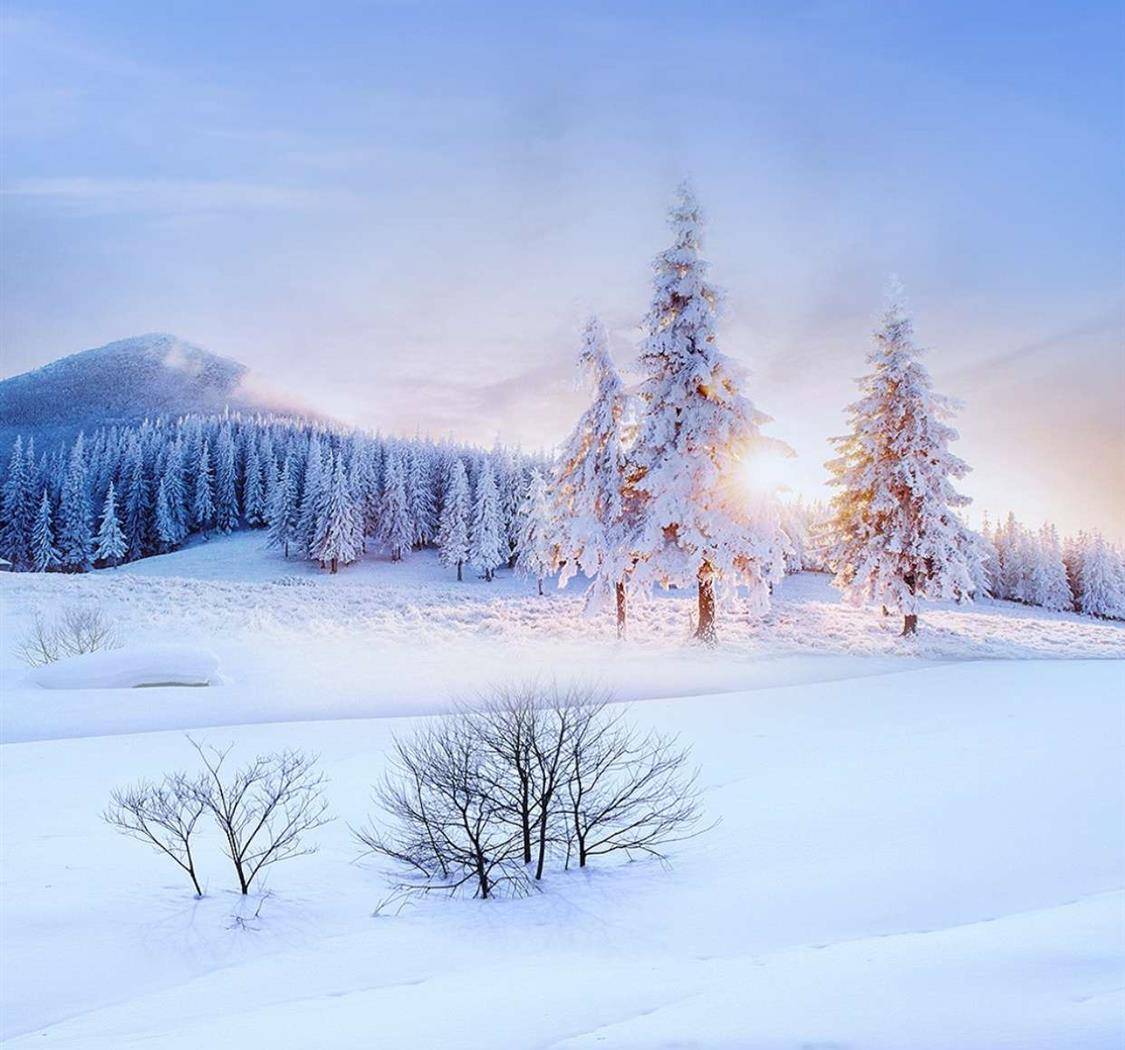 大雪至，天已寒。在岁暮的烟火里，浅煮流年，静待陌上花开！