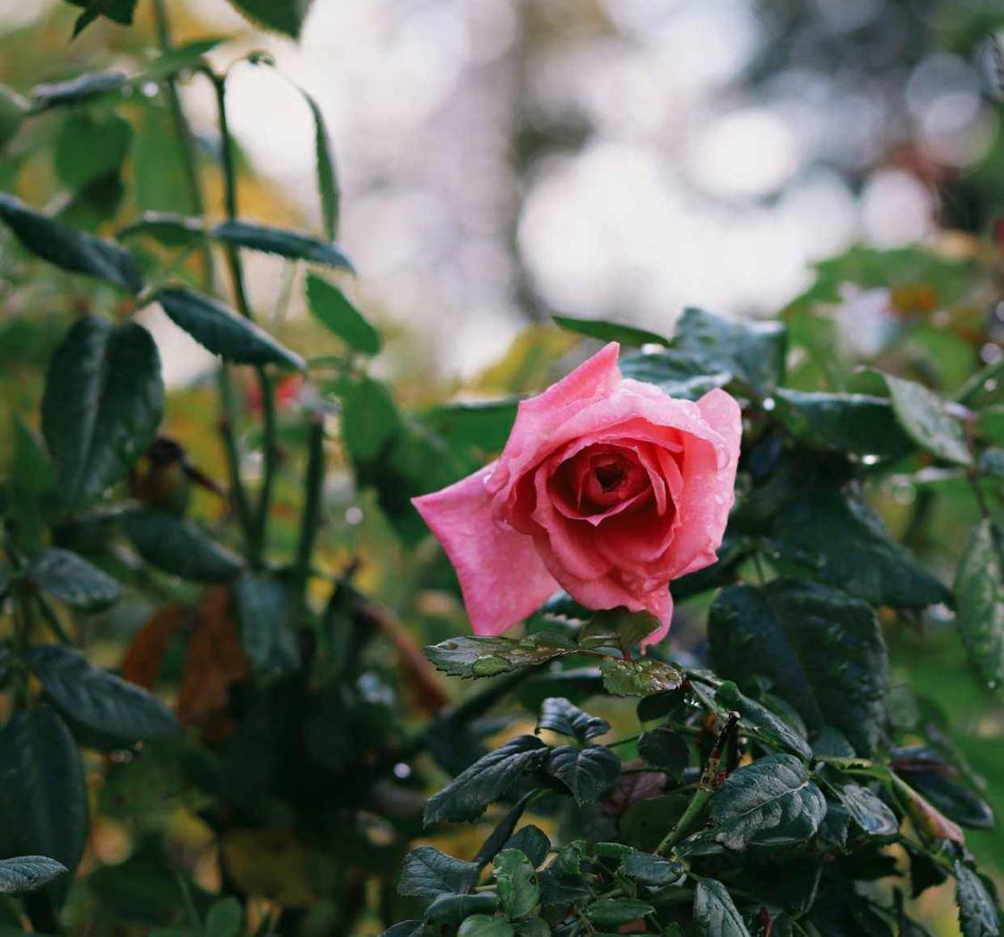 看似不起波澜的日复一日，会突然在某一天让你看到坚持的意义。