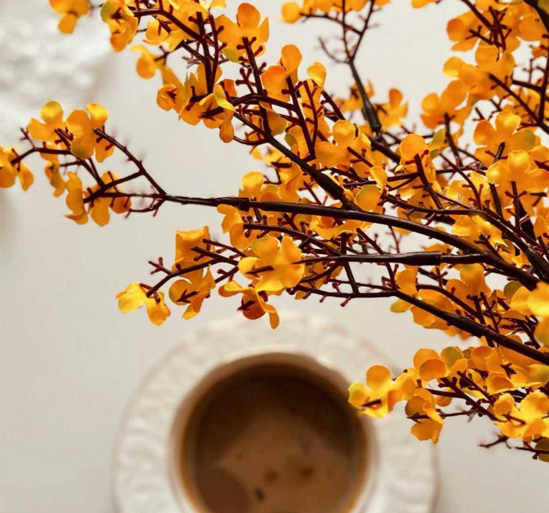 做你害怕做的事情，然后你发现，不过如此。