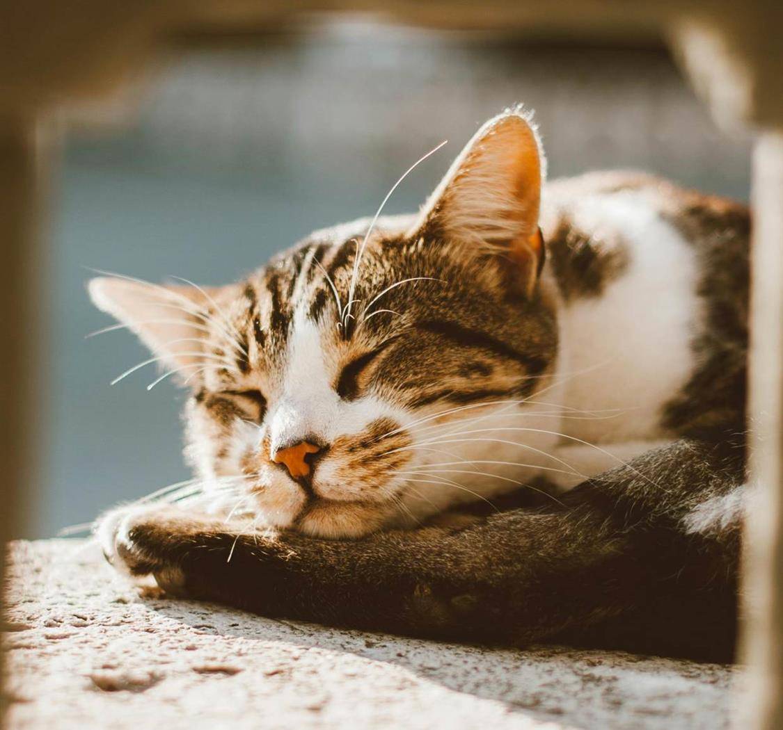 眼睛向下，情趣向上，拥抱平凡的世界！