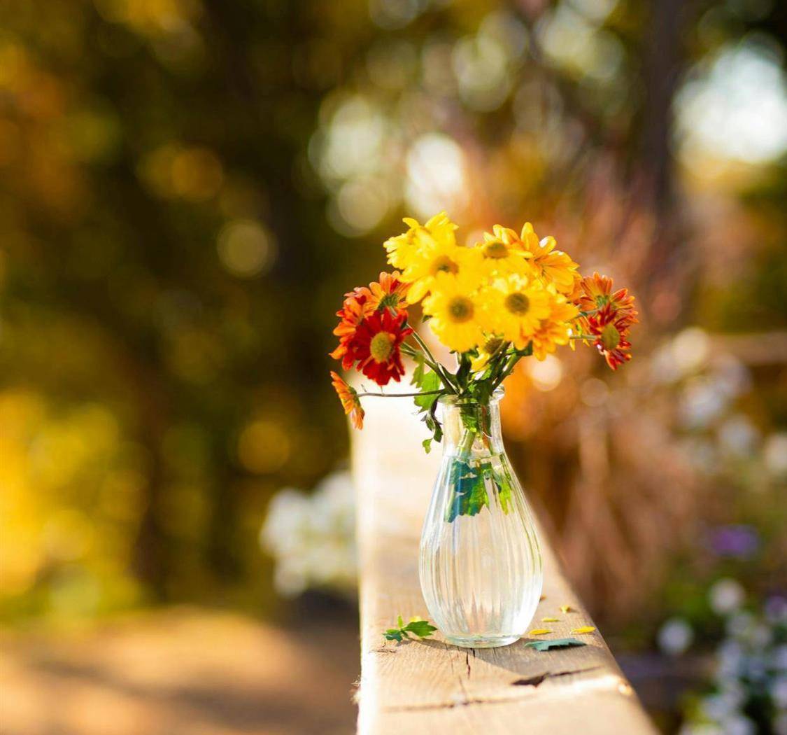 发光不是太阳的权力，每个人都可以。