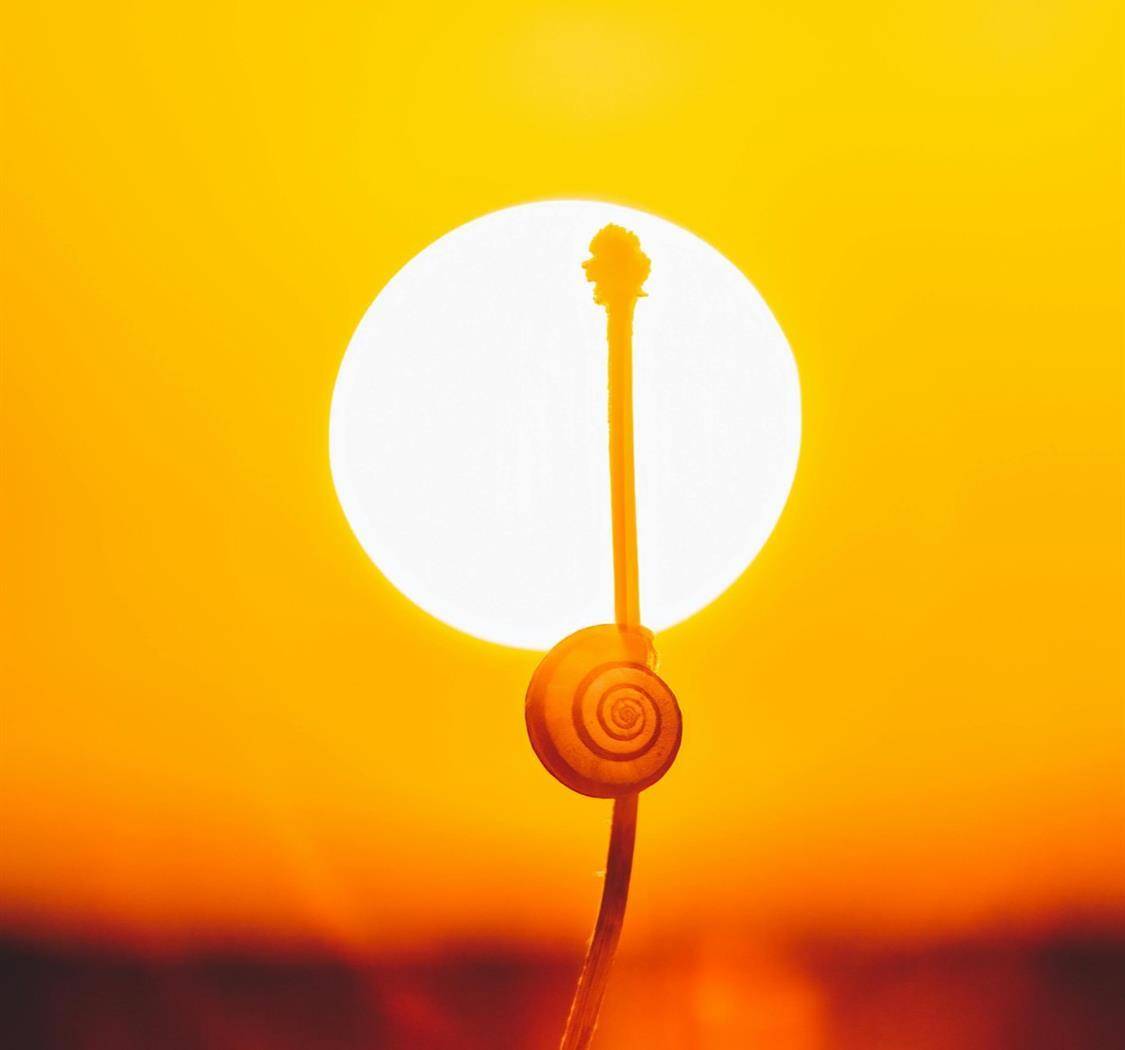 愿你野蛮生长，最终璀璨生光。