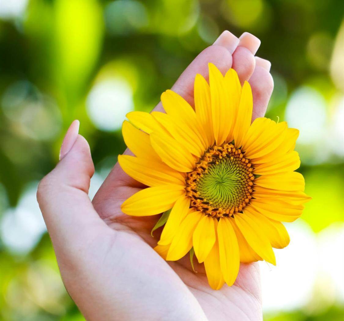 独一无二的我，值得世间所有美好。