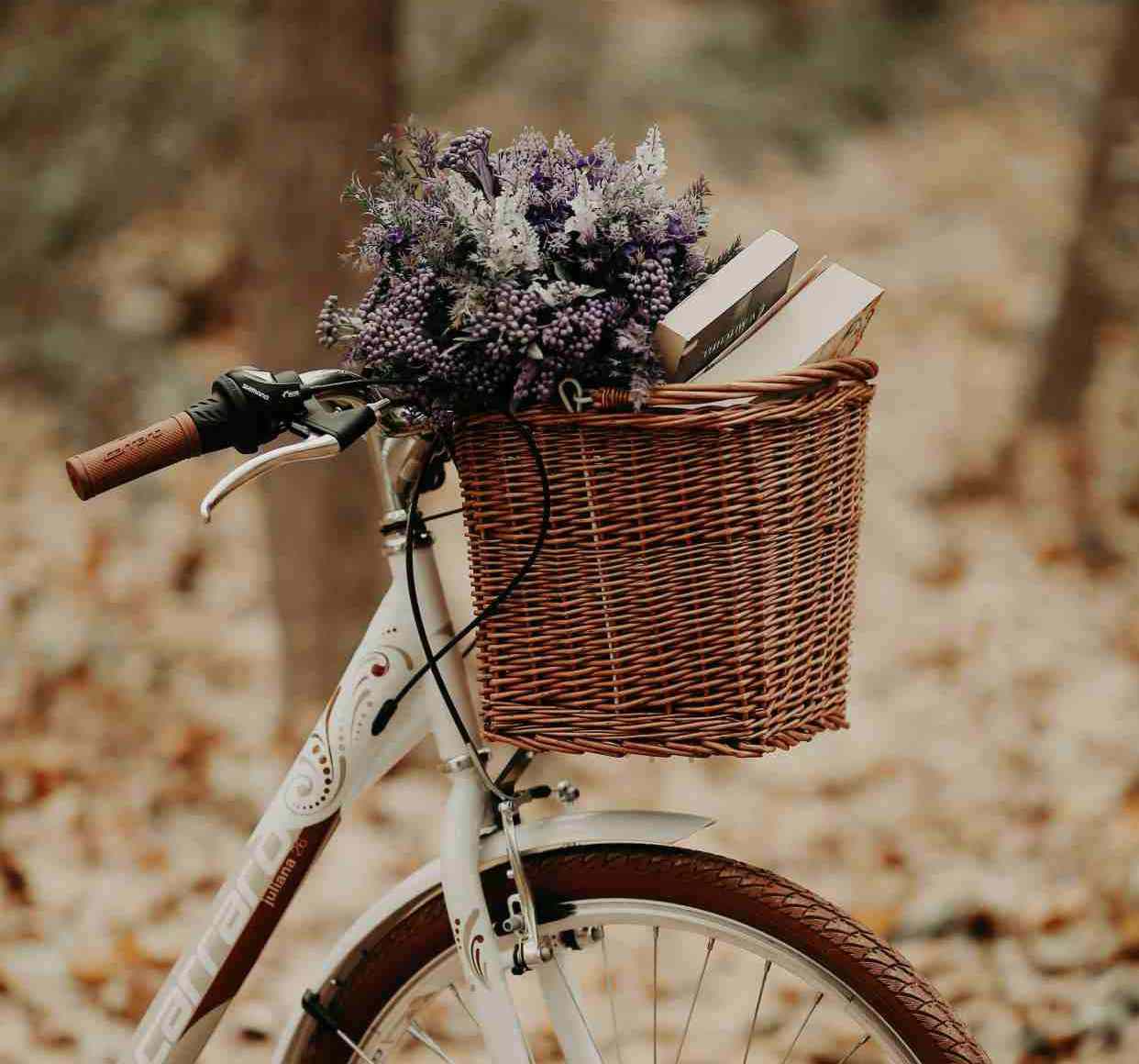 人不可能每步都正确，与其重新，不如从心。