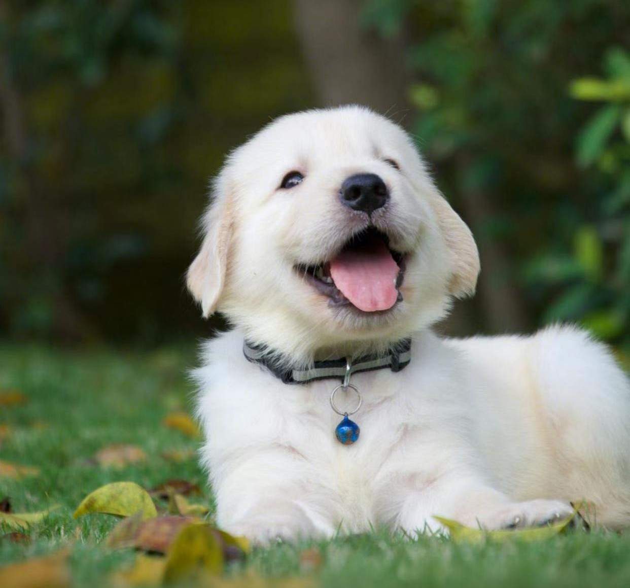 百事从心起，一笑解千愁。